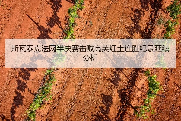 斯瓦泰克法网半决赛击败高芙红土连胜纪录延续分析