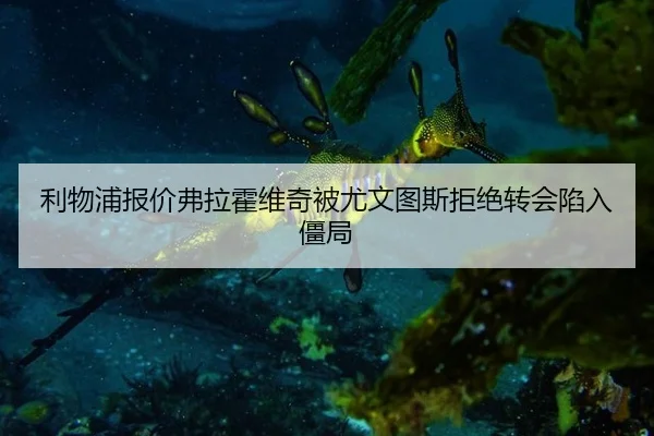 利物浦报价弗拉霍维奇被尤文图斯拒绝转会陷入僵局