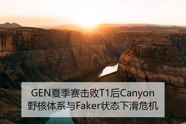 xia-ji-sai-ji-bai-hou-ye-he-ti-xi-yu-zhuang-tai-xia-hua-wei-ji-2-410.jpg
